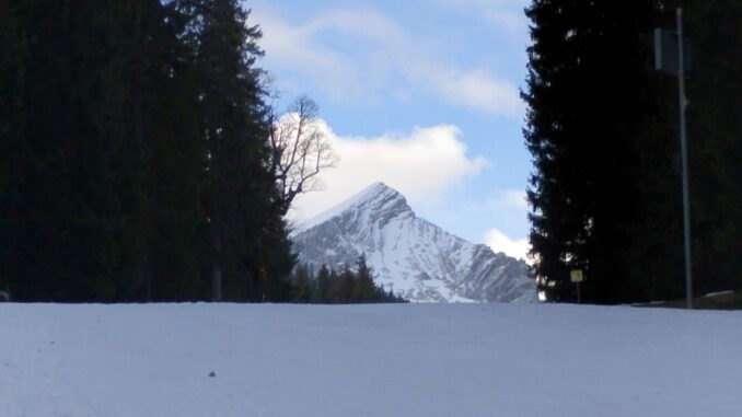 Bild1